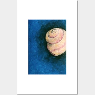 Sea shell Posters and Art